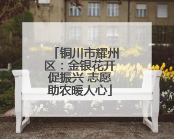 铜川市耀州区：金银花开促振兴 志愿助农暖人心